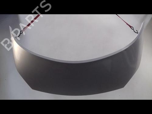 Panser RENAULT SCÉNIC II (JM0/1_) 1.5 dCi (JM1F) (86 hp) 8986756