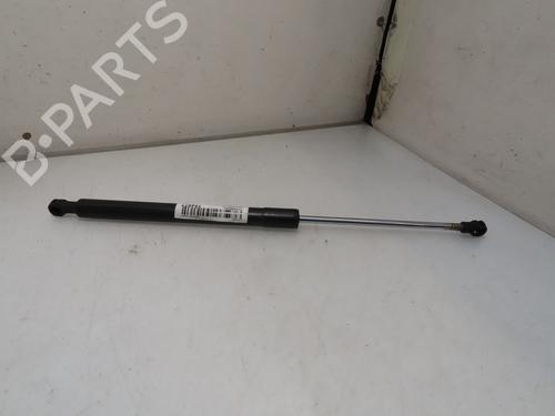 Used Tailgate lift support RENAULT CLIO III (BR0/1, CR0/1) 1.4 16V (98 hp) 26534811