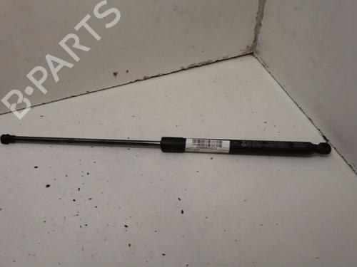 tailgate-lift-support-renault-arkana-i-lcm_-ldn_-2019-36681419 main image