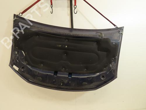 hood-dacia-sandero-ii-2012-31030825 main image