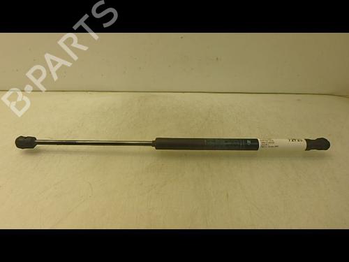 tailgate-lift-support-lancia-ypsilon-843_-2003-2004-2005-2006-2007-2008-2009-2010-2011-36484987 main image