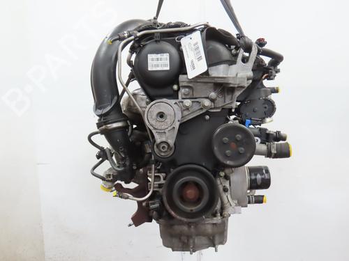Engine FORD MONDEO IV (BA7) 1.6 EcoBoost | BP34255480M1  - Image 5