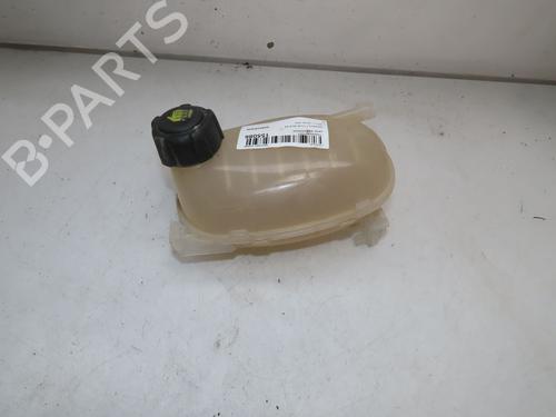 Used Expansion tank RENAULT CLIO V (B7_) 1.0 SCe 65 (B7MG) (67 hp) 26657205