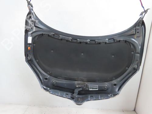 Used Hood SKODA ROOMSTER (5J7) 1.4 TDI (80 hp) 19123701