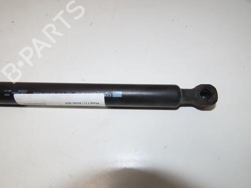 Tailgate lift support RENAULT CLIO IV (BH_) 0.9 TCe 90 (BHNF, BHMA, BHMH, BHJK, BHJR) | BP27643469C138 