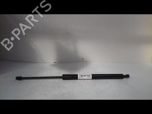 Used Tailgate lift support FORD TOURNEO COURIER B460 MPV 1.0 EcoBoost (100 hp) 14893335