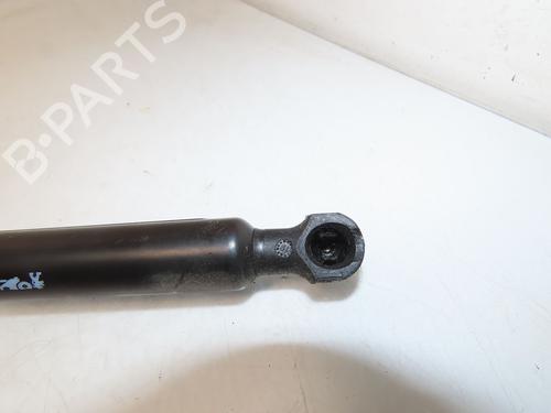 Tailgate lift support PEUGEOT 2008 II (UD_, US_, UY_, UJ_, UR_, UC_) 1.5 BlueHDI 130 | BP26876684C138 