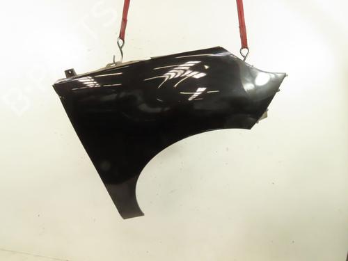 Right front fenders RENAULT SCÉNIC III (JZ0/1_) 1.9 dCi (JZ0J, JZ1J, JZ1K, JZ1S) | BP27373147C42 