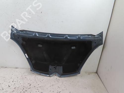 Used Hood CITROËN C4 Picasso I MPV (UD_) 1.6 HDi (109 hp) 25750507