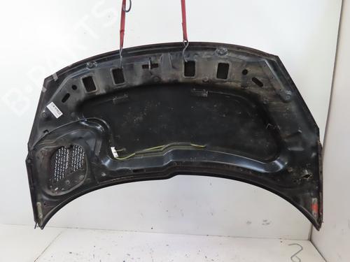 Used Hood Hood PEUGEOT 206+ (2L_, 2M_) 1.1 (60 hp) 25015159 25015159