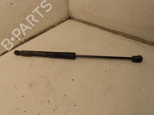 tailgate-lift-support-fiat-500x-334_-2014-32200455 main image