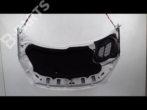 Hood PEUGEOT 206+ (2L_, 2M_) 1.4 HDi eco 70 | BP8995224C1