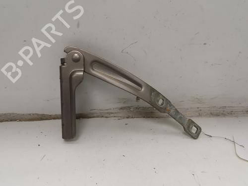 hingedoor-check-strap-dacia-lodgy-js_-2012-27621837 main image