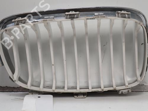 grille-bmw-1-f20-2011-2012-2013-2014-2015-2016-2017-2018-2019-39659948 main image