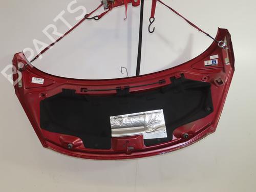 Used Hood PEUGEOT 207 (WA_, WC_) 1.6 HDi (90 hp) 30840411