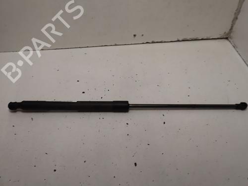 tailgate-lift-support-renault-arkana-i-lcm_-ldn_-2019-36681418 main image