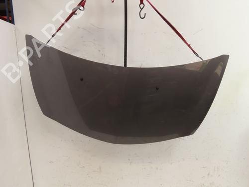 Used Hood RENAULT CLIO III (BR0/1, CR0/1) 1.2 16V (BR02, BR0J, BR11, CR02, CR0J, CR11) (75 hp) 28685432