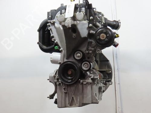 Motor FORD FIESTA VI (CB1, CCN) 1.0 (80 hp) 18124593