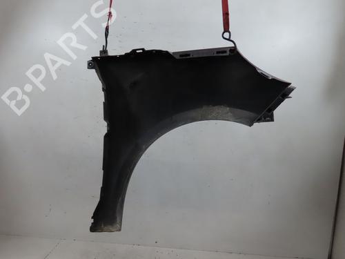 Left front fenders RENAULT SCÉNIC III (JZ0/1_) 1.5 dCi | BP17372124C41 