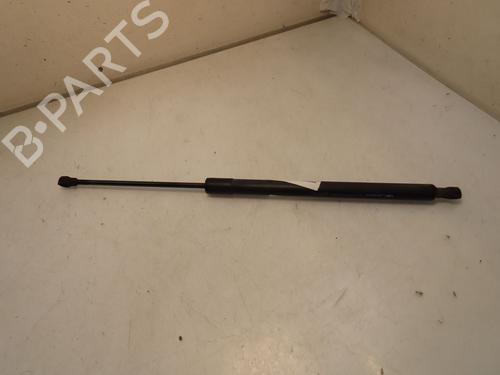 Used Tailgate lift support RENAULT SCÉNIC III (JZ0/1_) 1.5 dCi (110 hp) 30954148