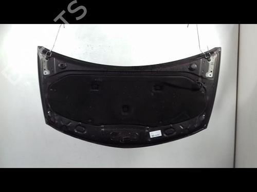 Hood RENAULT CLIO III (BR0/1, CR0/1) 1.5 dCi (BR0H, CR0H, CR1S, BR1S) | BP14956808C1 