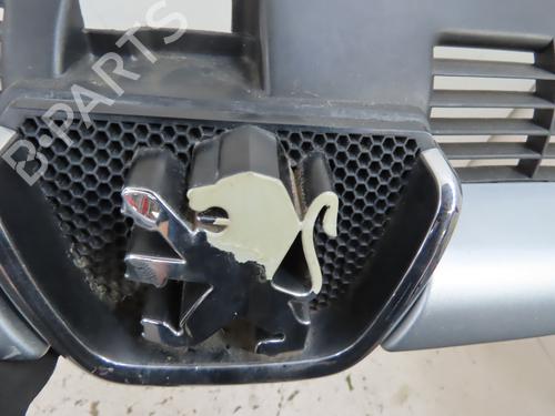 Used Grille PEUGEOT 206 SW (2E/K) 1.6 16V (109 hp) 27216520