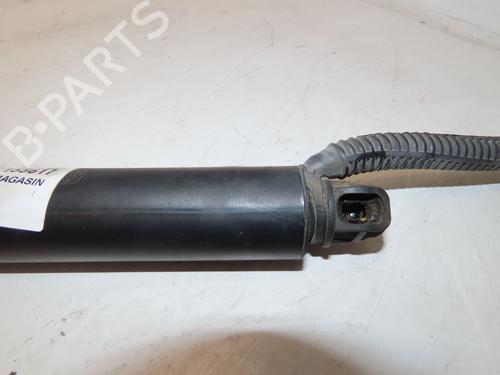 Tailgate lift support BMW 3 Touring (F31) 320 d xDrive | BP28051023C138
