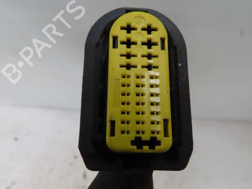 Used Right rear door RENAULT CLIO III Grandtour (KR0/1_) 1.5 dCi (KR0F) (86 hp) 24214685