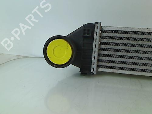 Used Intercooler Intercooler MERCEDES-BENZ B-CLASS Sports Tourer (W245) B 180 CDI (245.207) (109 hp) 36483576 36483576