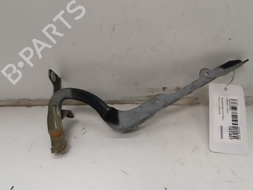 Hinge/Door check strap PEUGEOT 208 I (CA_, CC_) 1.0 VTi | BP27666075C146