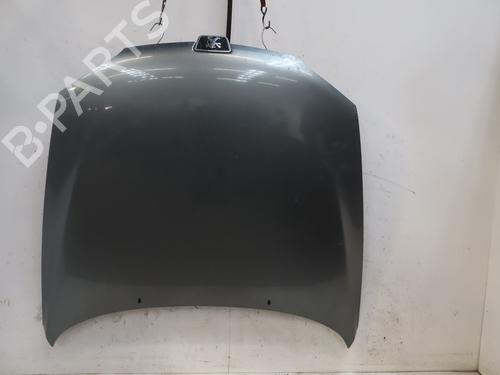 Used Hood Hood PEUGEOT 406 Coupe (8C) 2.2 HDI (133 hp) 33769938 33769938