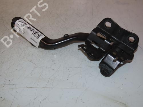 Hinge/Door check strap TOYOTA PRIUS PLUS (_W4_) 1.8 Hybrid (ZVW40W, ZVW41W) | BP26669152C146
