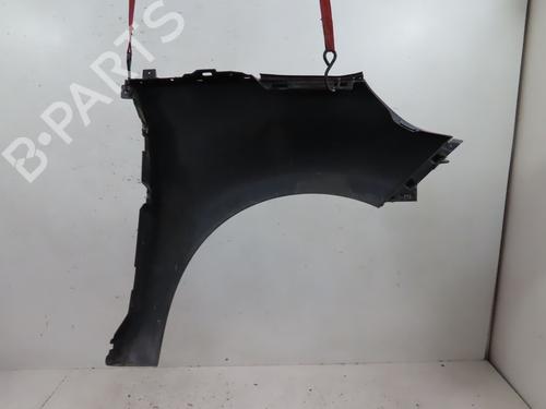Left front fenders RENAULT SCÉNIC III (JZ0/1_) 1.5 dCi | BP18104327C41 