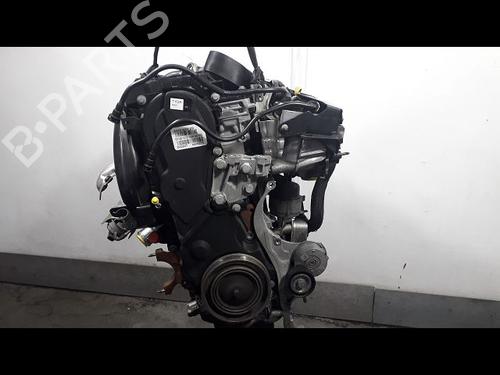 Engine FORD C-MAX II (DXA/CB7, DXA/CEU) 2.0 TDCi (115 hp) 14955392