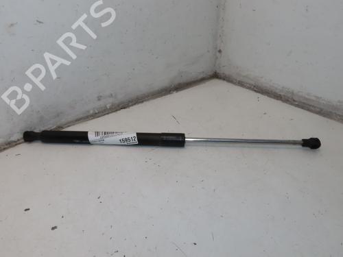 Used Tailgate lift support RENAULT CLIO III (BR0/1, CR0/1) 1.4 16V (98 hp) 29740099