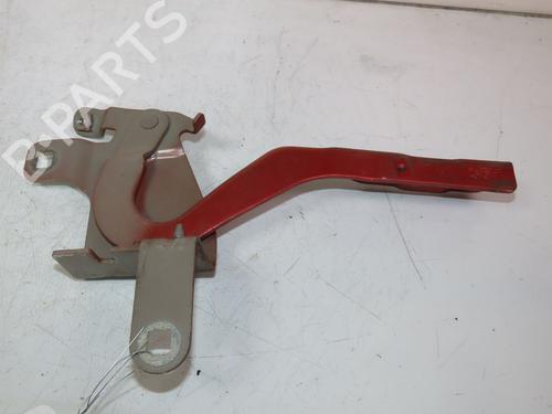 Hinge/Door check strap RENAULT CLIO IV (BH_) 1.5 dCi 90 | BP30952806C146