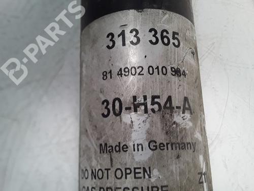 Left rear shock absorber AUDI A5 Sportback (8TA) 3.0 TDI quattro | BP9002581M18 