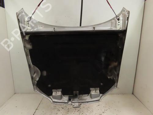 Used Hood PEUGEOT 406 Coupe (8C) 2.2 HDI (133 hp) 27267838