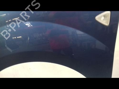 Left front fenders RENAULT KANGOO / GRAND KANGOO II (KW0/1_) 1.5 dCi 110 (KW0C, KW0H) | BP15200790C41 