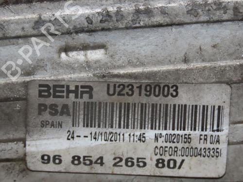 Used Other CITROËN DS3 (SA_) 1.6 Racing (203 hp) 16781800