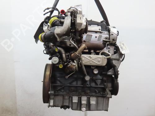 Engine SKODA OCTAVIA II Combi (1Z5) 1.6 TDI | BP35747917M1 - Image 4