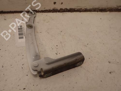 hingedoor-check-strap-dacia-duster-hs_-2010-2011-2012-2013-2014-2015-2016-2017-2018-33416137 main image