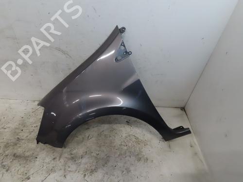left-front-fenders-renault-clio-iii-br01-cr01-2005-2006-2007-2008-2009-2010-2011-2012-2013-2014-32254436 main image