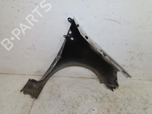 Used Left front fenders RENAULT CLIO III (BR0/1, CR0/1) 1.5 dCi (88 hp) 28593966