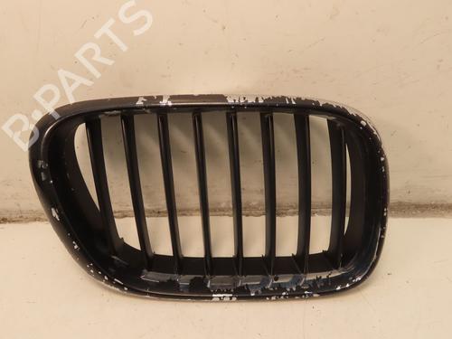 Grill BMW X5 (E53) 3.0 d (184 hp) 30952513