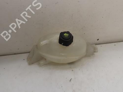 Used Expansion tank RENAULT MASTER III Van (FV) 2.3 dCi 150 FWD (FV0F, FV03, FV09) (150 hp) 30950862