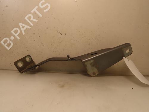 Hinge/Door check strap RENAULT KANGOO / GRAND KANGOO II (KW0/1_) 1.5 dCi 90 (KW05, KW08, KW0G, KW11) | BP24920232C146 
