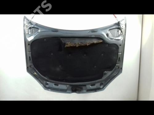 Hood VW GOLF V (1K1) 1.9 TDI | BP10724290C1 