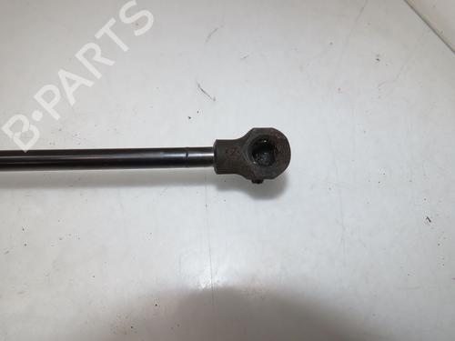 tailgate-lift-support-dacia-sandero-iii-2021-25885812 main image