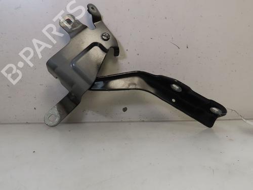 Hinge/Door check strap RENAULT CLIO IV (BH_) 1.5 dCi 90 | BP24185392C146 